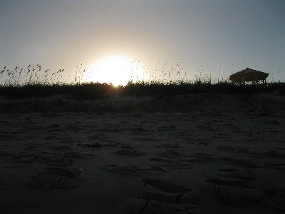 Click to view picture details [12971]