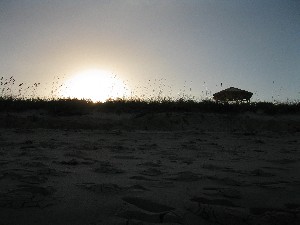 Click to view picture details [12972]