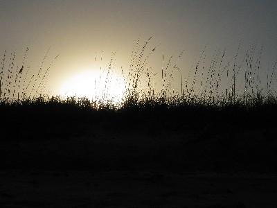 Click to view picture details [12973]