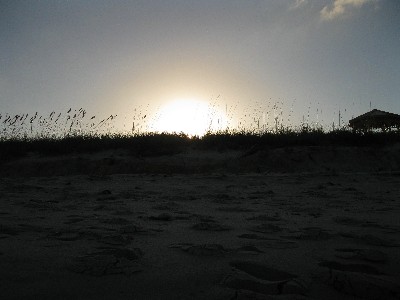 Click to view picture details [12974]