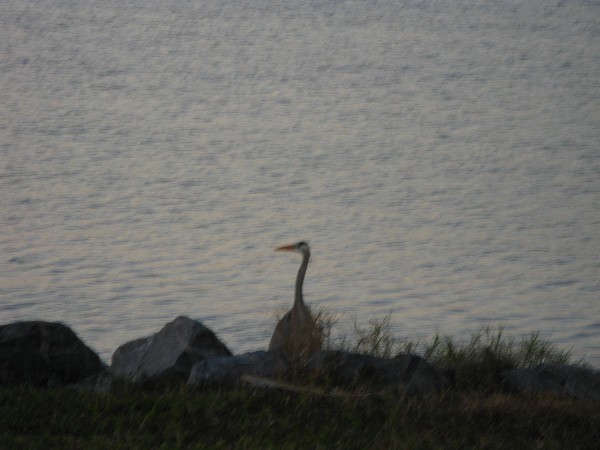 Click to view picture details [12975]