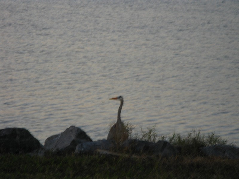 Click to view picture details [12975]