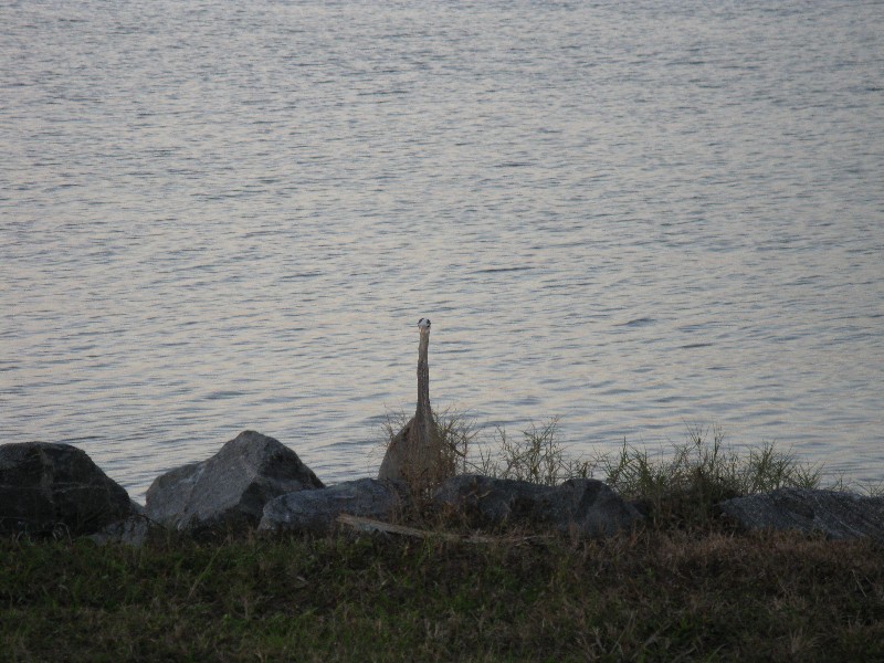 Click to view picture details [12976]