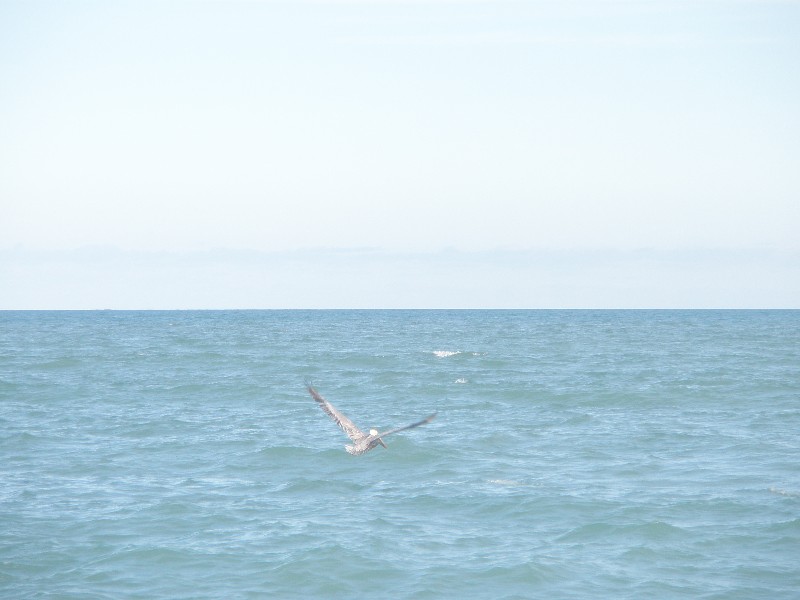 Click to view picture details [13217]