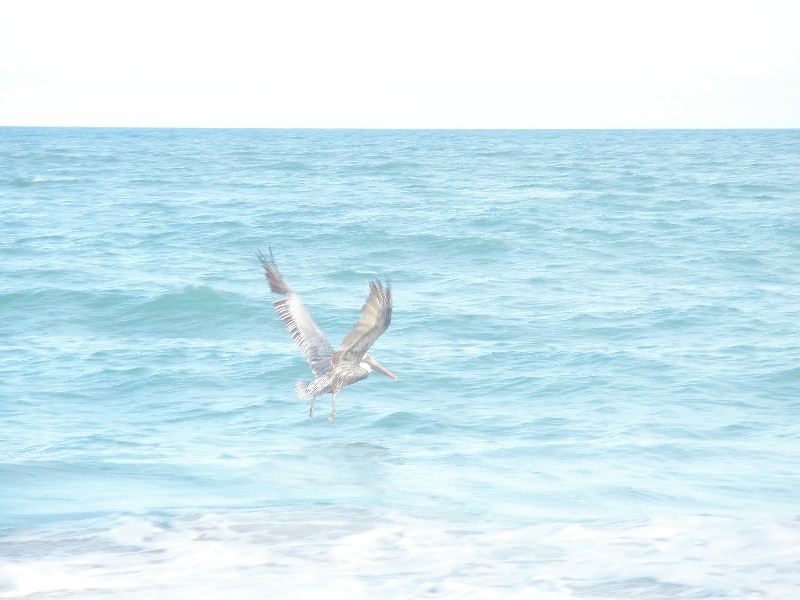 Click to view picture details [13219]