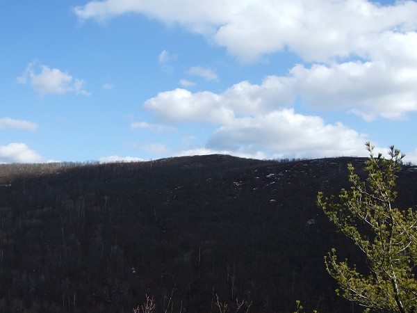 Click to view picture details [1338]