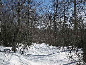 Click to view picture details [13483]