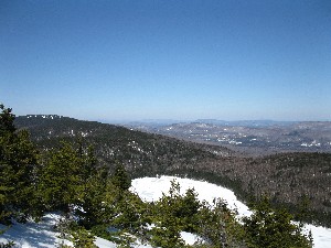 Click to view picture details [13490]