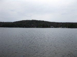 Click to view picture details [13691]