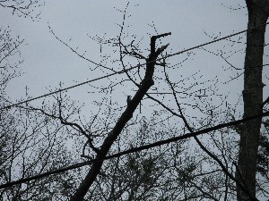 Click to view picture details [13693]