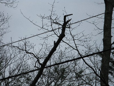 Click to view picture details [13693]