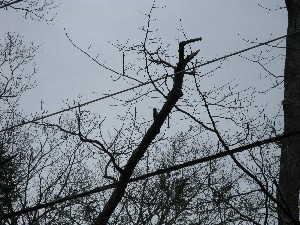 Click to view picture details [13694]