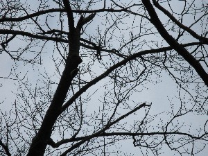 Click to view picture details [13695]