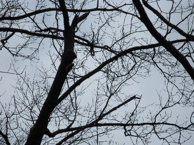 Click to view picture details [13695]