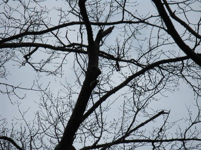 Click to view picture details [13696]