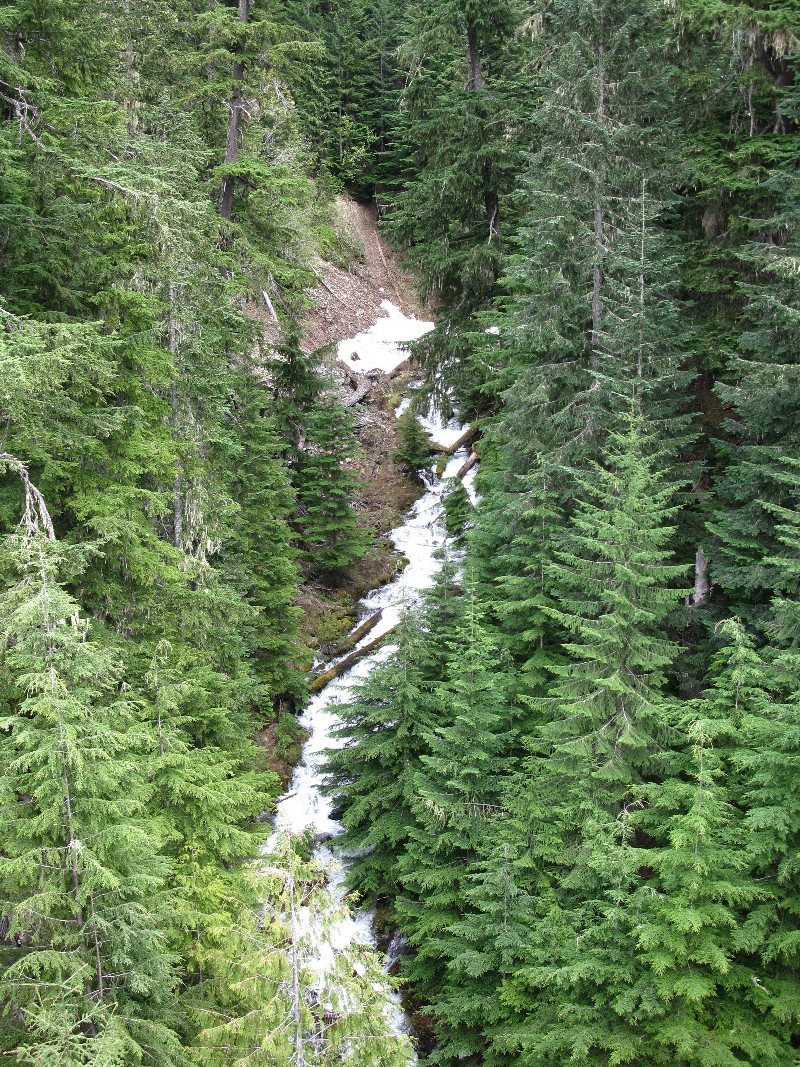 Click to view picture details [14146]