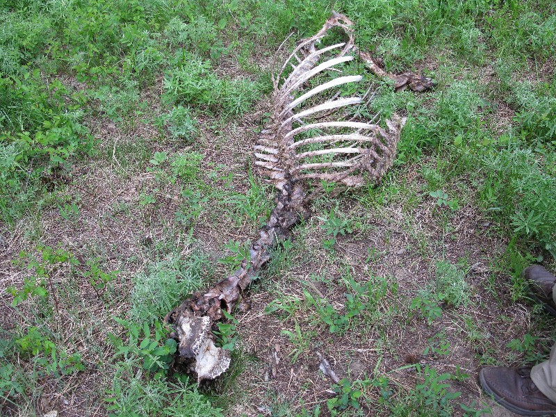 Click to view picture details [14200]