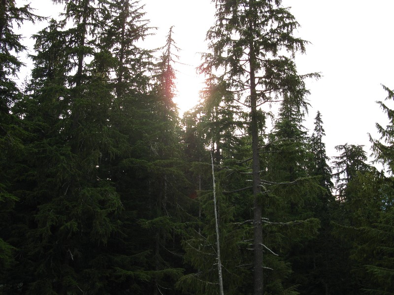 Click to view picture details [14222]