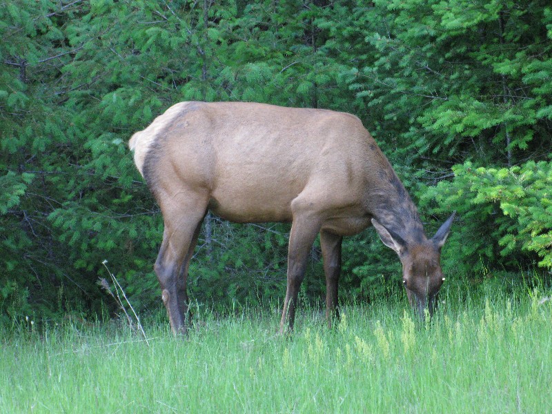 Click to view picture details [14232]