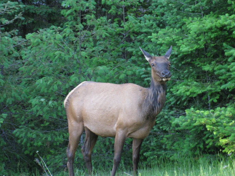 Click to view picture details [14234]