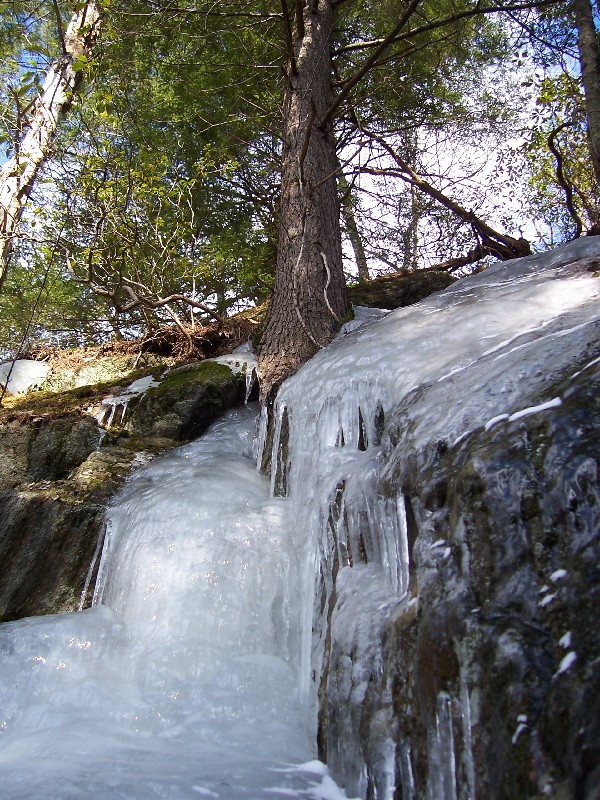 Click to view picture details [1434]