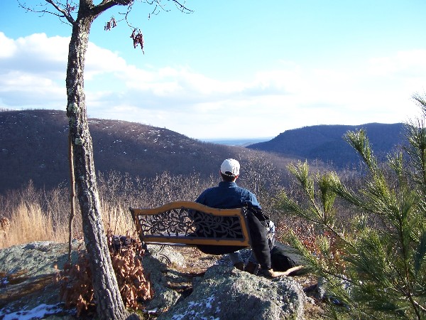 Click to view picture details [1445]