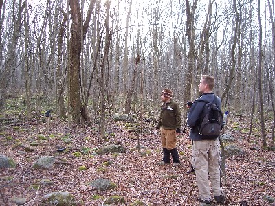 Click to view picture details [15]