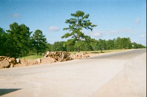 Click to view picture details [15297]