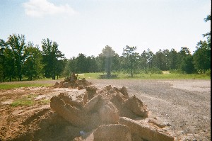 Click to view picture details [15299]