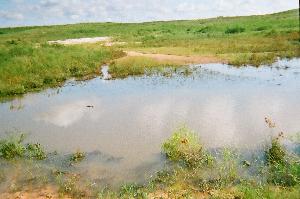 Click to view picture details [15316]