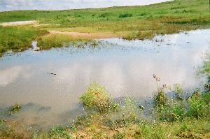 Click to view picture details [15317]