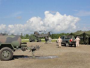 Click to view picture details [15338]