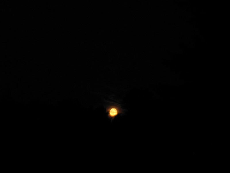 Click to view picture details [15616]