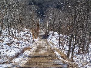 Click to view picture details [1619]
