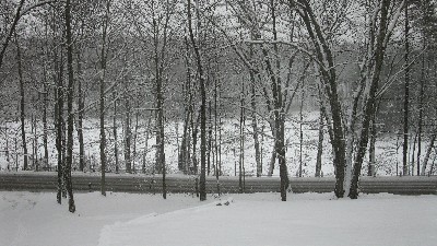 Click to view picture details [16372]