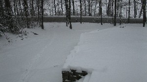 Click to view picture details [16373]