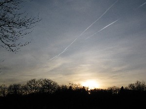 Click to view picture details [16753]