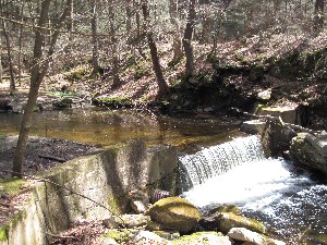 Click to view picture details [17050]