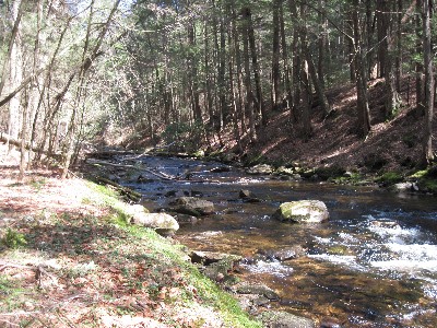 Click to view picture details [17052]