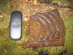 Click to view picture details [17054]