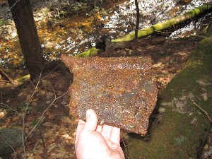 Click to view picture details [17055]