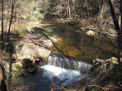 Click to view picture details [17056]