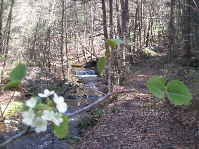 Click to view picture details [17059]