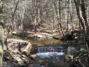 Click to view picture details [17060]