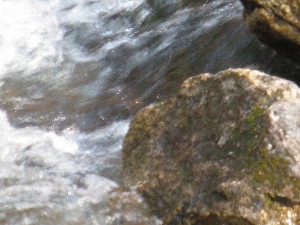 Click to view picture details [17124]