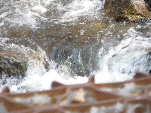 Click to view picture details [17125]