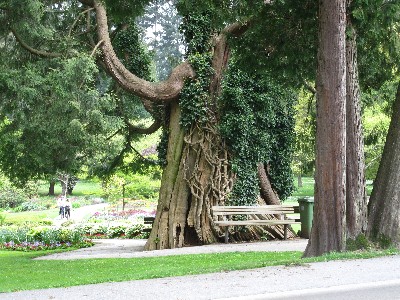 Click to view picture details [17207]