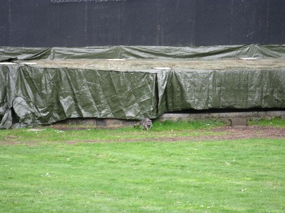 Click to view picture details [17209]