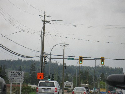 Click to view picture details [17224]