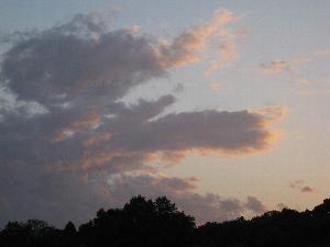 Click to view picture details [17273]